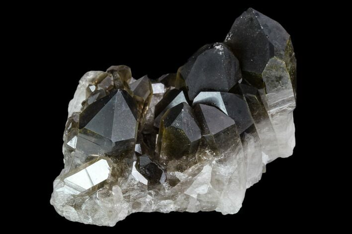 Dark Smoky Quartz Crystal Cluster - Brazil #124590